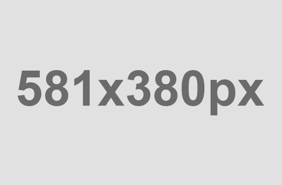 Gardeners World Show 2024 India